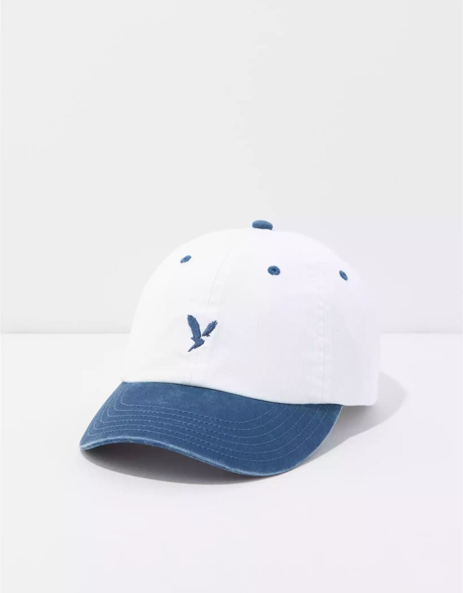 Chapeaux American Eagle AEO Baseball Bleu Homme | ZHA-11135421